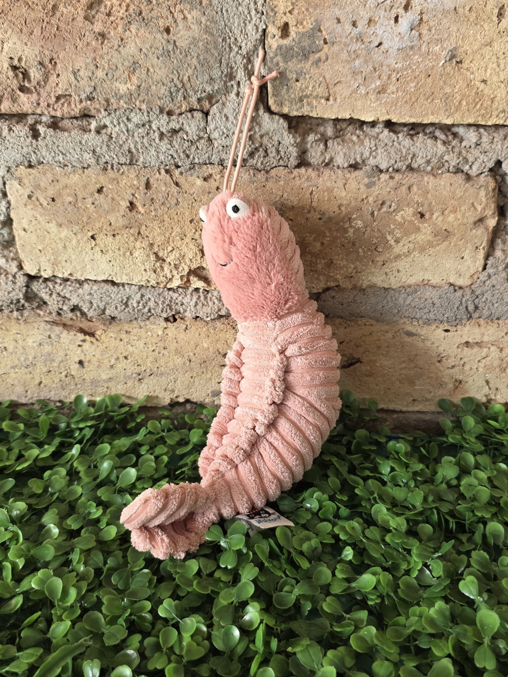 Retired Jellycat Sheldon Shrimp Pink Corduroy Stuffed Animal Sea Creature Plush